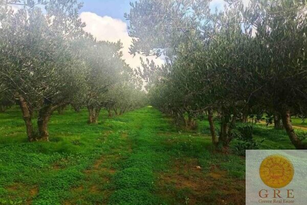 Land 118 Crete