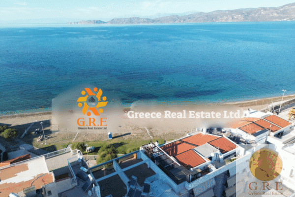 Commercial 01 Corinth - Image 4