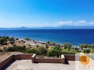 Skeleton 01 Peloponnese