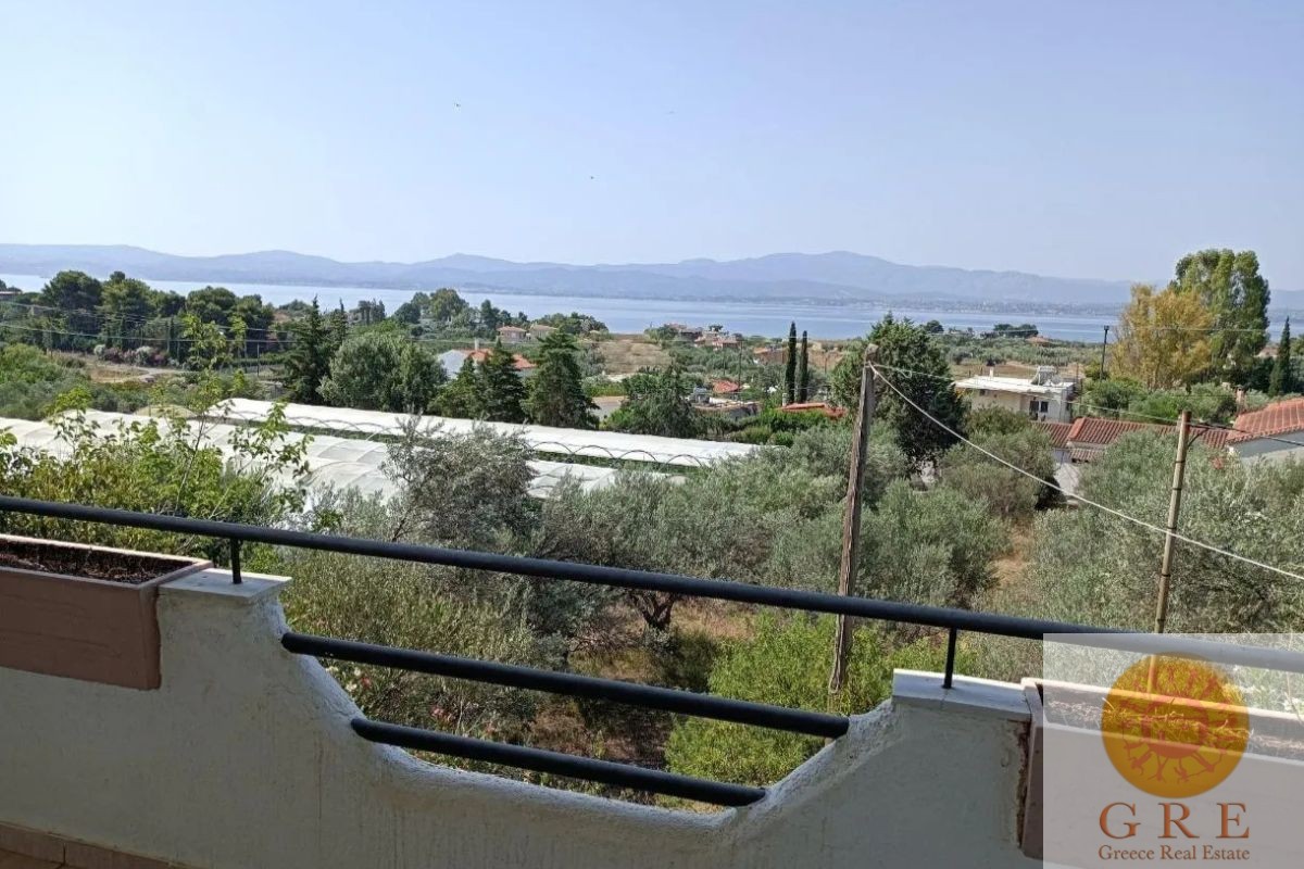 Traditional House 59 Evia