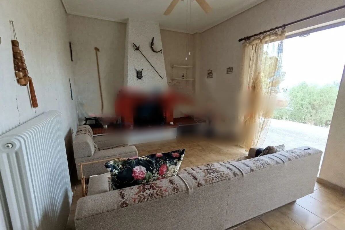 Traditional house 03 up to 2 hours from Athens - Image 4