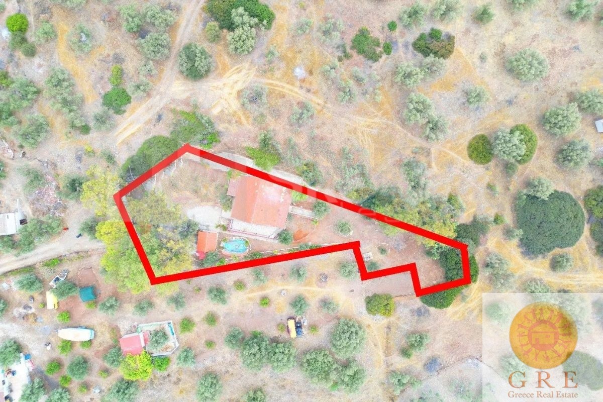 Traditional house 04 up to 2 hours from Athens - Image 2