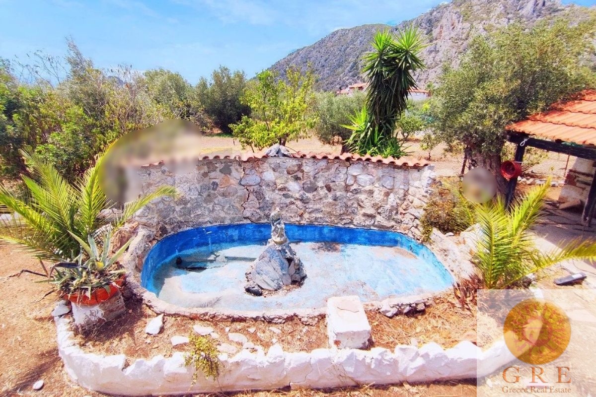 Traditional house 04 up to 2 hours from Athens - Image 3