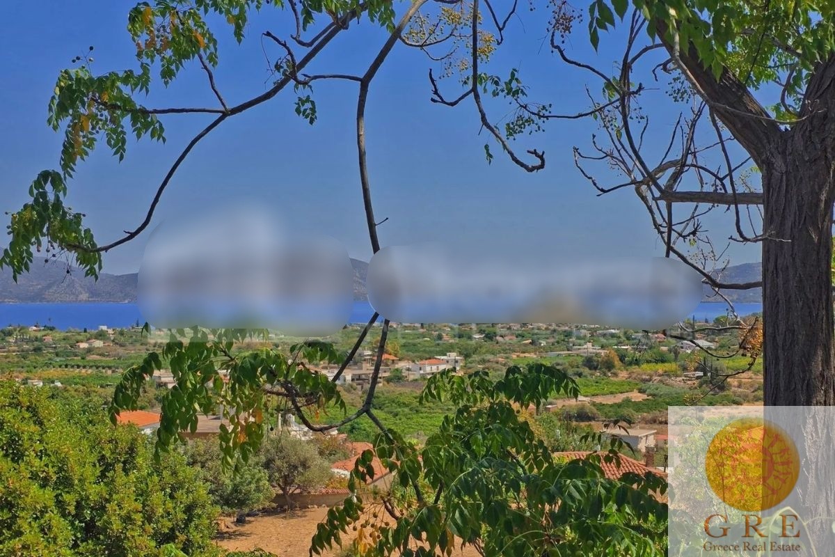 Traditional house 06 to 2 hours from Athens - Image 4