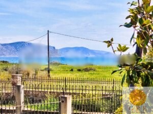 Traditional house 08 Peloponnese